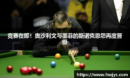 K1体育